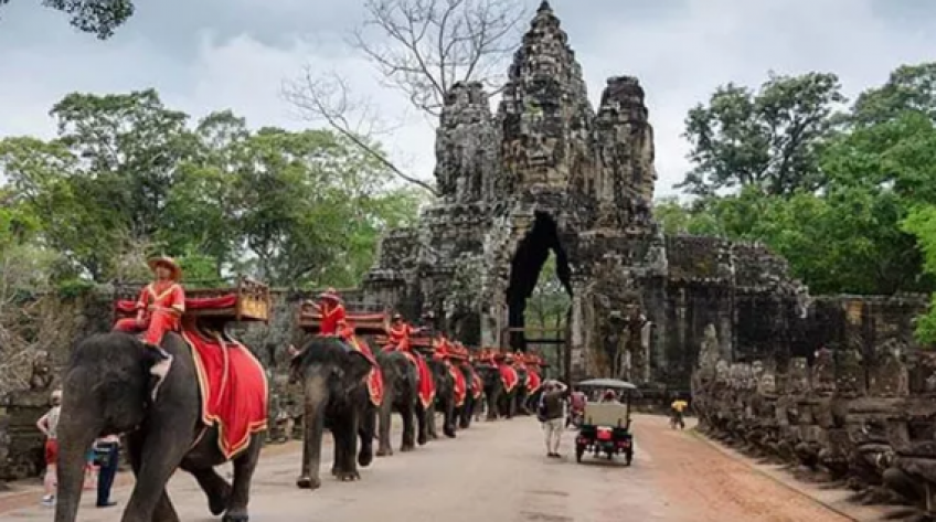 Campuchia cấm sử dụng voi phục vụ du khách tại đền Angkor Wat