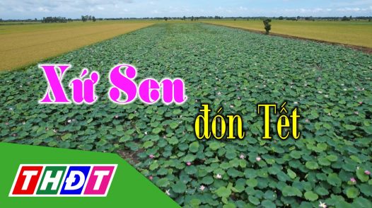 Xứ sen đón tết - Tập 1: Giá trị của thương hiệu