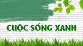 Cuộc sống xanh - 28/10/2021