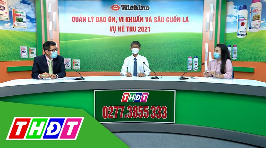 Tư vấn Khuyến nông - 21/6/2021 - Quản lý đạo ôn, vi khuẩn và sâu cuốn lá vụ Hè thu 2021