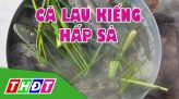 Toàn cảnh nông nghiệp - 05/6/2019