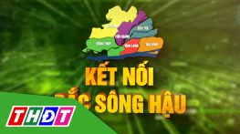 Kết nối Bắc sông Hậu - 15/9/2024