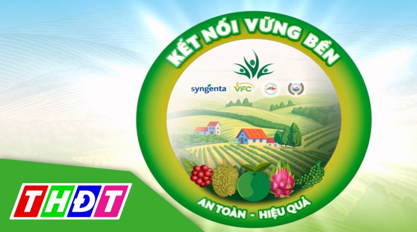 Kết nối vững bền - 29/9/2022 - Kỳ 26: Một năm thành công với kết nối vững bền