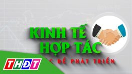 Kinh tế hợp tác - 27/01/2024: Xuân về trên các tổ hợp tác, hợp tác xã