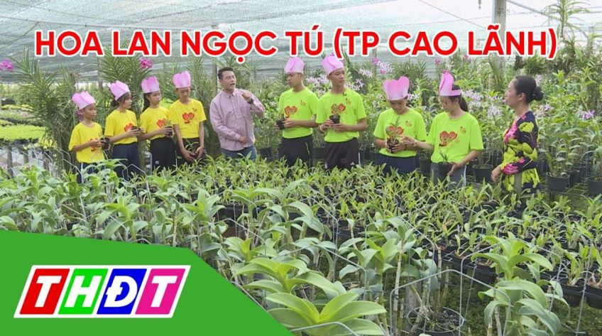 Gameshow Bé Sen vui vẻ Tập 24: Hoa lan Ngọc Tú (Cao Lãnh)