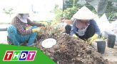 Nạo vét 300km kênh, cấp nước tưới mùa khô