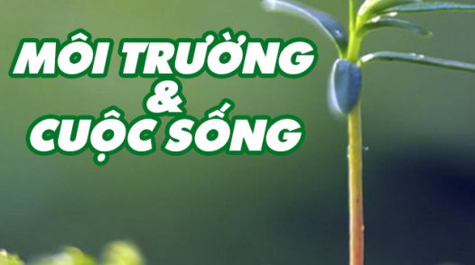 Môi trường và cuộc sống - 03/5/2024: Phát thải thấp gắn với tăng trưởng xanh vùng ĐBSCL