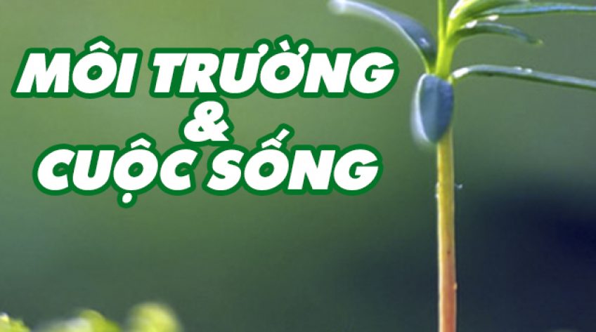 Môi trường & cuộc sống - 13/02/2019