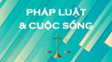 Pháp luật và cuộc sống - 18/11/2019