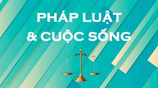 Pháp luật và cuộc sống - 16/12/2021: Những điều cần biết về kêu gọi từ thiện