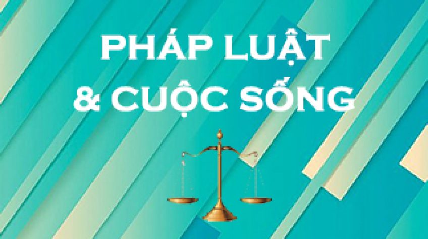 Pháp luật & cuộc sống - 25/03/2019