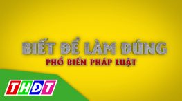 Biết để làm đúng - 16/10/2024: Bài toán giải quyết tình trạng xây cất nhà lấn chiếm sống rạch