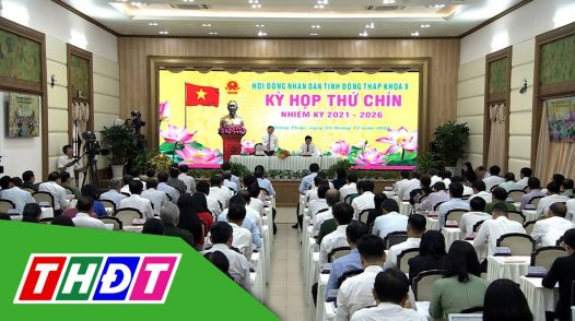 [Trực tiếp] Kỳ họp thứ chín Hội đồng nhân dân tỉnh Đồng Tháp khóa X, sáng ngày 5/12/2024