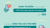 Phát hiện 201 cây cần sa trồng trái phép