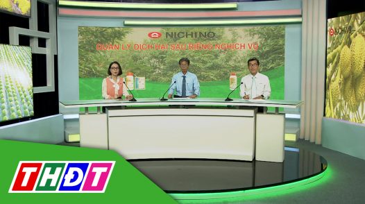 Tư vấn Khuyến nông - 21/10/2024 - Quản lý dịch hại sầu riêng nghịch vụ