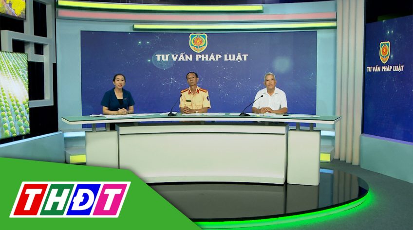 Tư vấn pháp luật - 26/8/2024 - An toàn giao thông