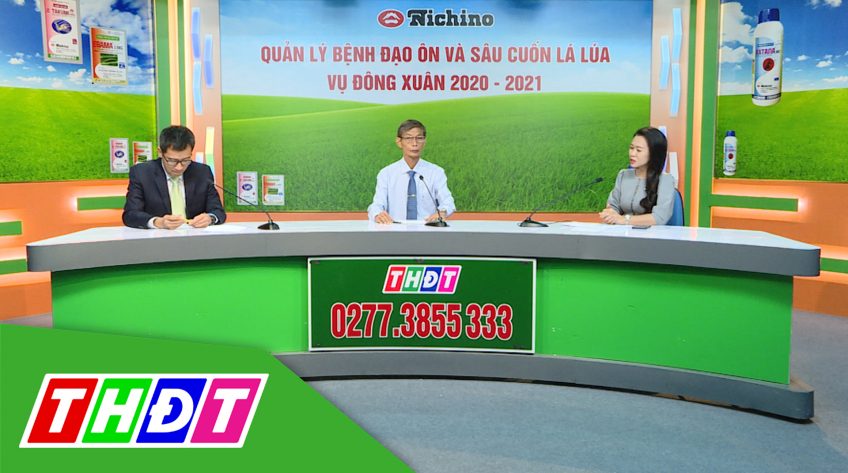 Tư vấn Khuyến nông - 11/1/2021 - Quản lý bệnh đạo ôn và sâu cuốn lá vụ Đông Xuân 2020 - 2021